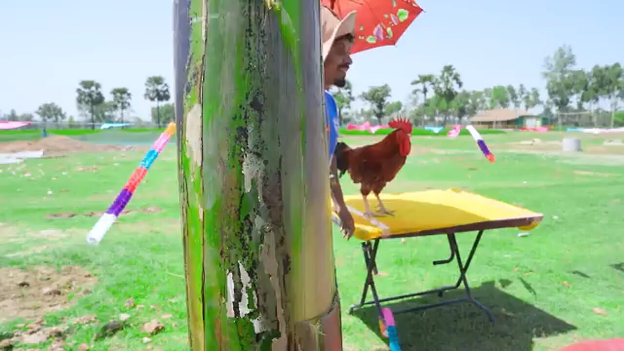 # desicomedy
