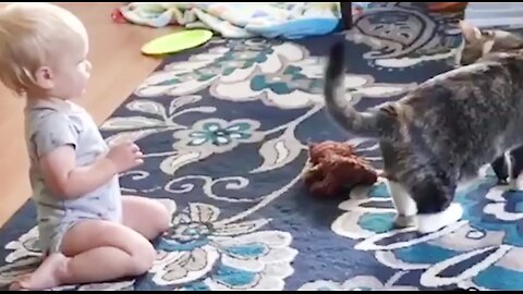 funny baby videos