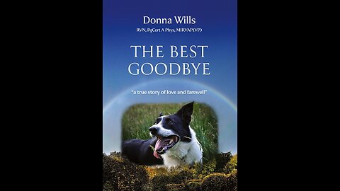 The Best Goodbye- With Donna Wills