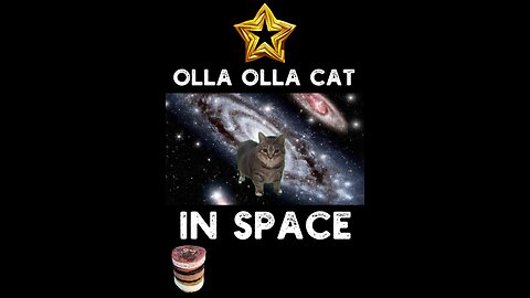 Olla Olla Cat In Space