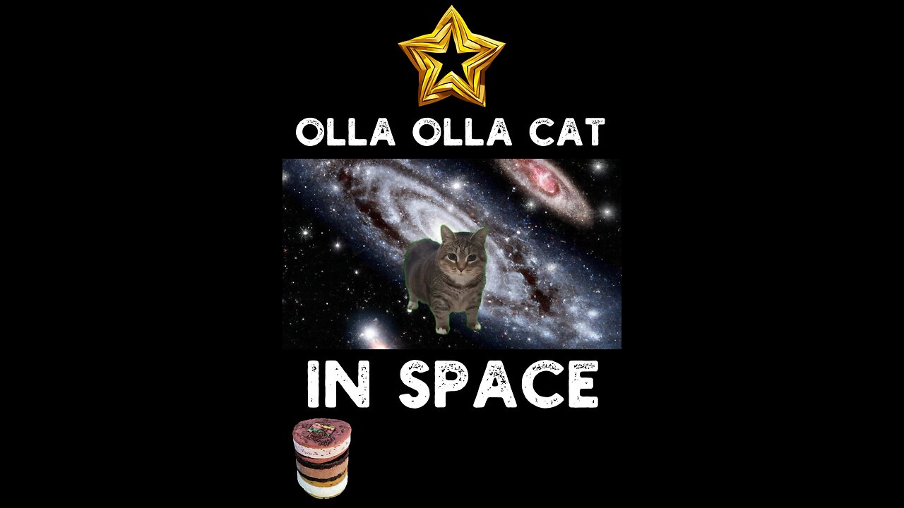 Olla Olla Cat In Space
