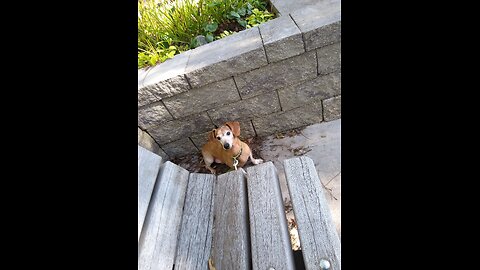 157th Weenie Stream