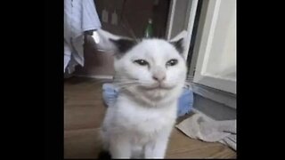 Warzone then maybe Dragon Age Veilguard