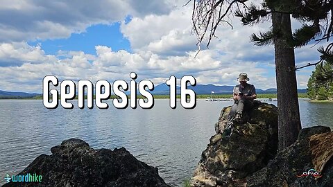 Genesis 16, Bible Reading in Nature, BSB