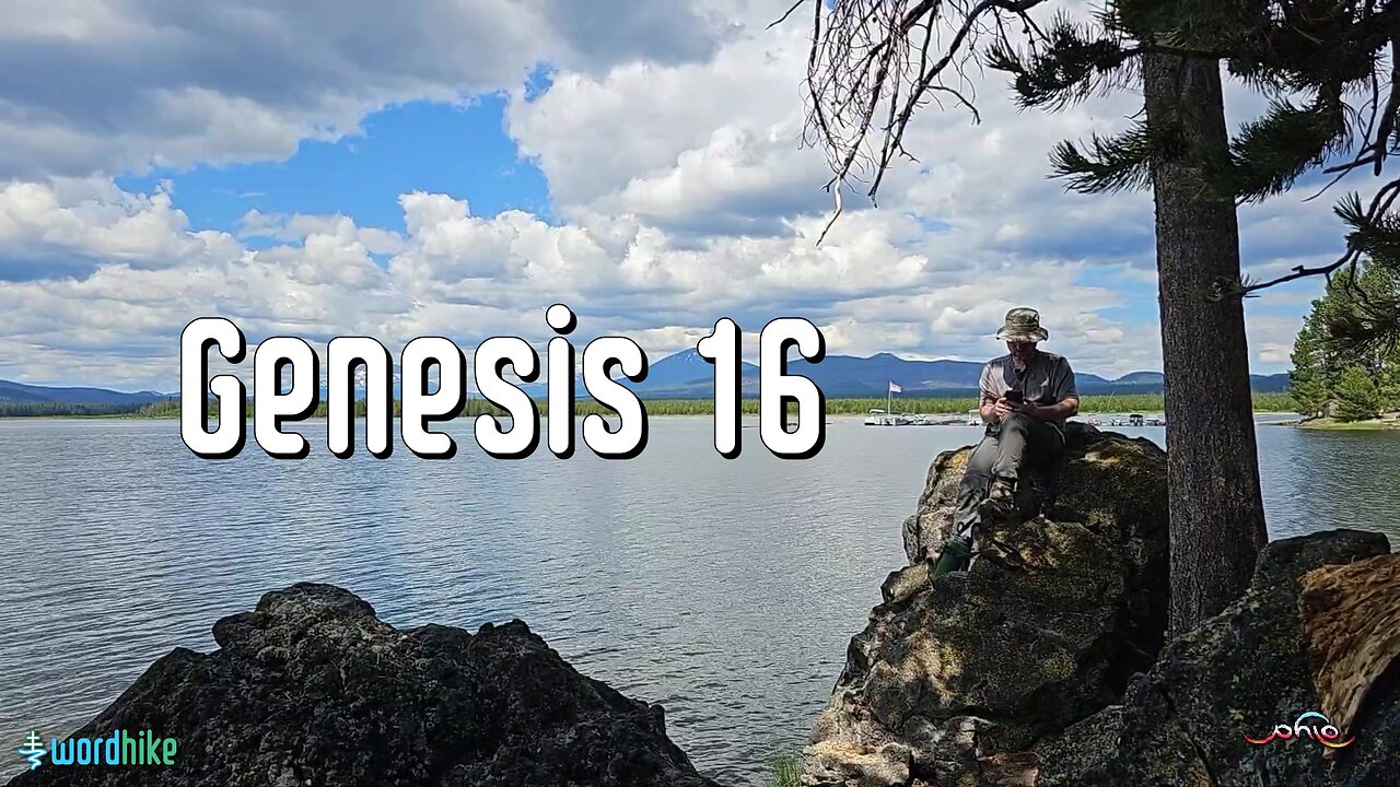 Genesis 16, Bible Reading in Nature, BSB