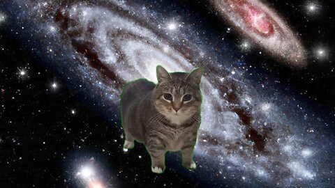 Olla Olla Cat In Space