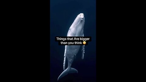 Things that Are bigger than you think 😳