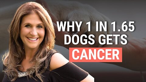 Pet Rx: Detox, Raw Diet, Holistic Therapies | Dr. Marlene Siegel
