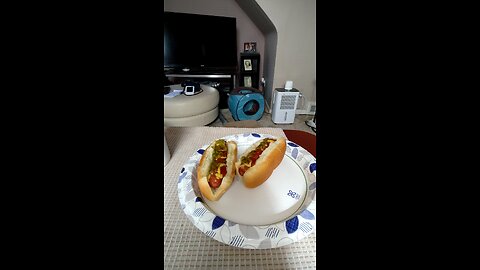 Eating Hebrew National Beef Franks, Dbn, MI, 6/23/25