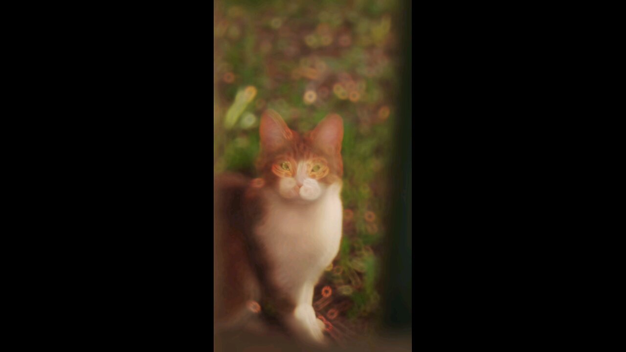 Look into my EYES!