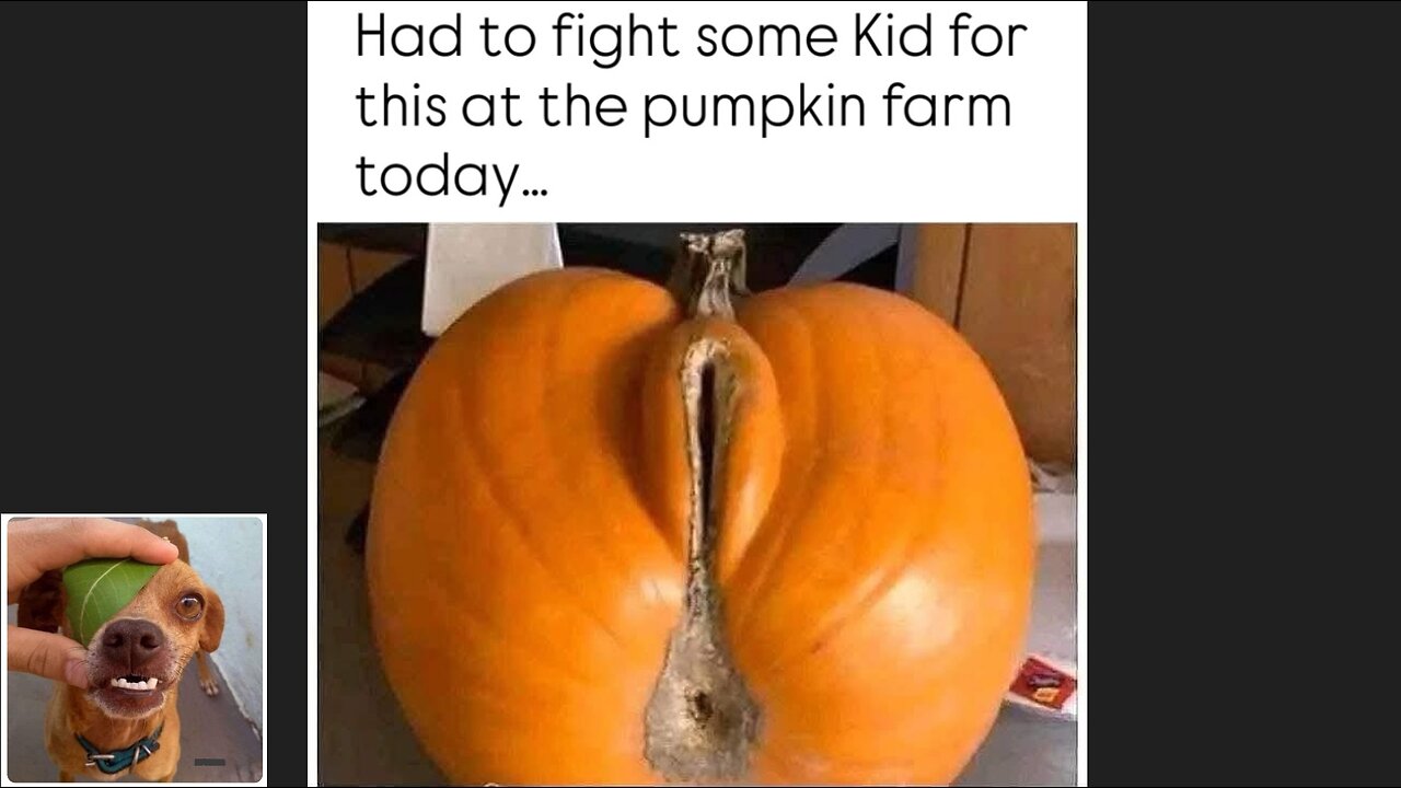 Meme compilation Episodes 626-630.