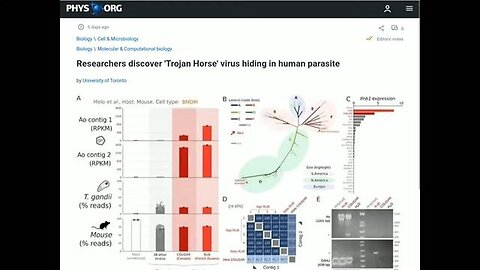 "Unlocking Mysteries: Mind-Altering Parasites Impact on Human Behavior & Wellness"