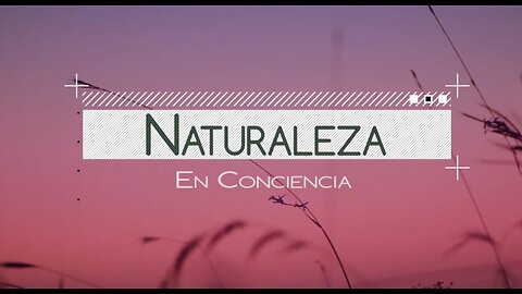 1. Cambio Climático | Naturaleza en conciencia