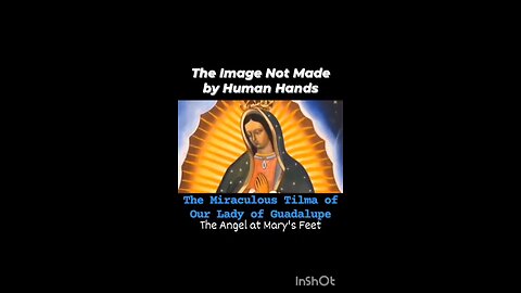 ANGEL & OUR LADY OF GUADALUPE #truth #jesus #mary #joseph #ihs #christ #church #bible #christian #