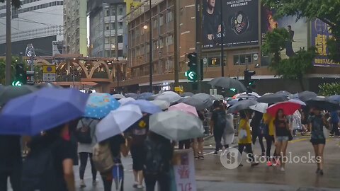 Umbrella