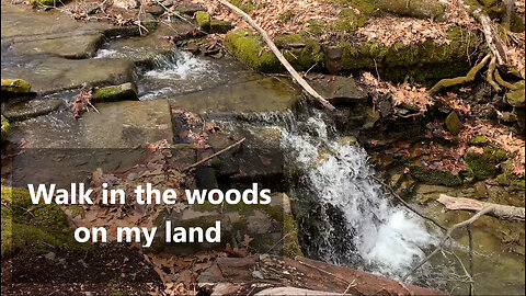 Walk in the woods on my land