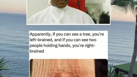 #funny #memes #fyp