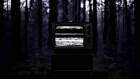 A Poem Lovely As TV