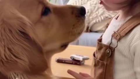 Cute Baby Playing With Animals | Adorable Baby & Pets Moments | Funny Animal Reactions”