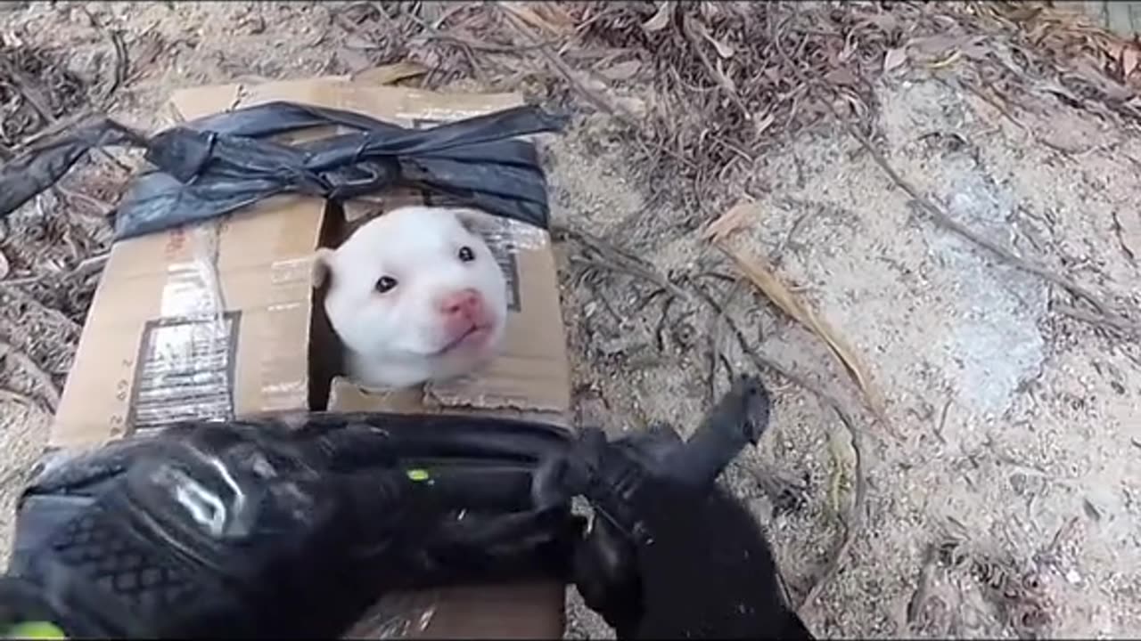 🥰🥹