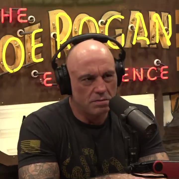 Joe Rogan notices something really interesting about when Elon Musk bought Twitter