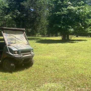 What do the Goats Do?