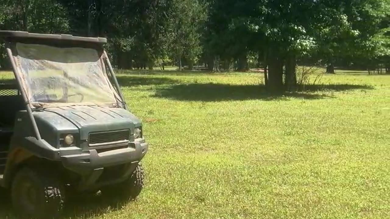 What do the Goats Do?