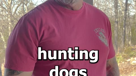 Dog Rental