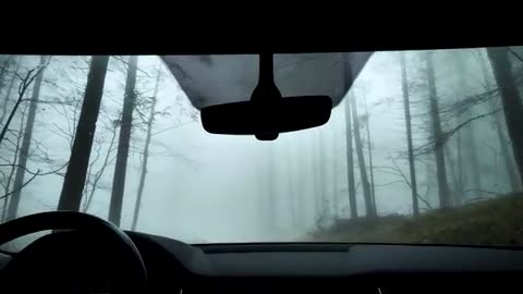 Mystic Fog and Rain Storm Drive - Immersive Dark Forest Ambiance to Relax and Sleep