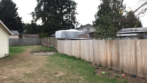 backyard hangout 329084209842