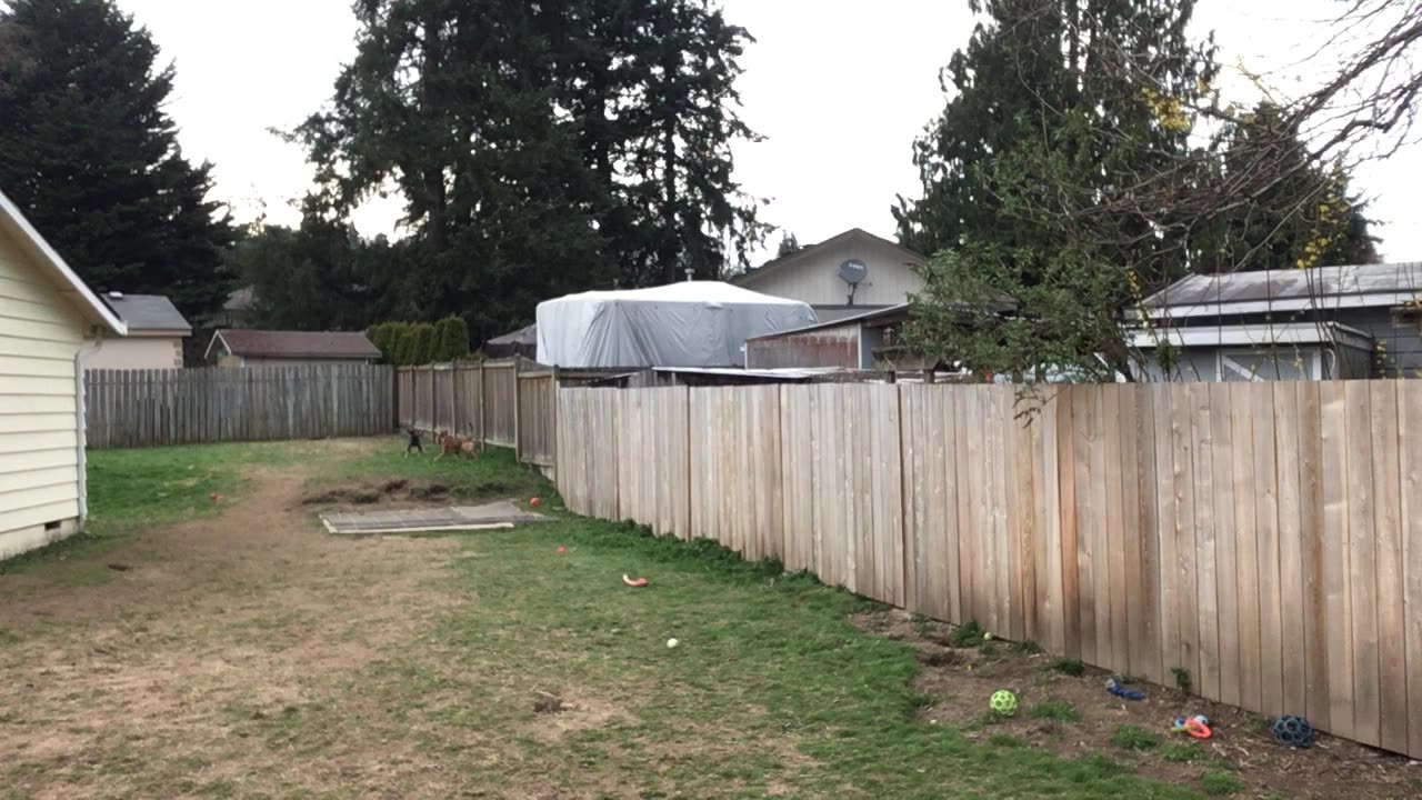 backyard hangout 329084209842