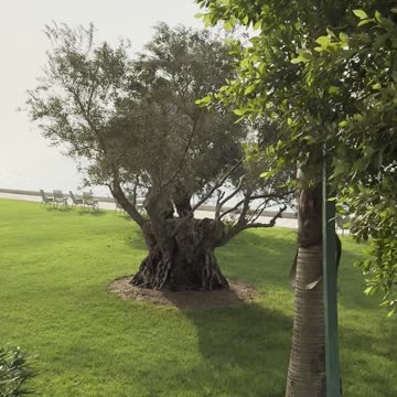 Portofino Hotel 🏨