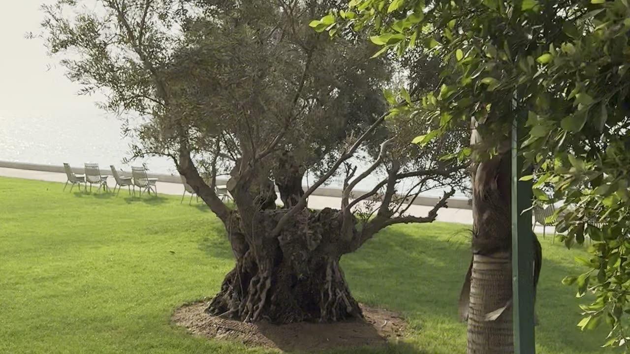 Portofino Hotel 🏨