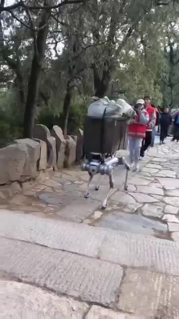 Robot dog carries heavy materials up a hill #china #tech #shorts #robotdog
