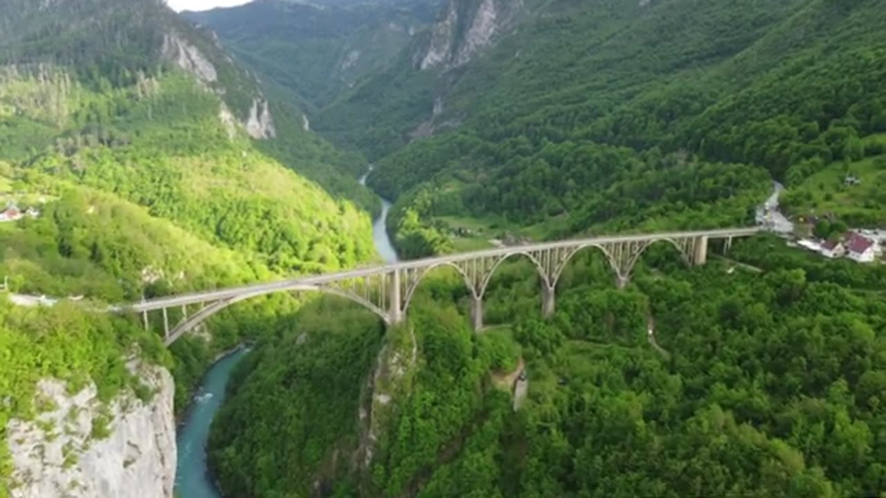 Morning nature background video