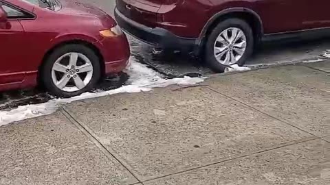 NYC Migrants able to afford luxury vehicles and driving without license registration and insurance