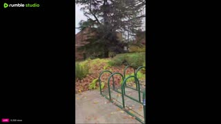 Tommy boy goes to college