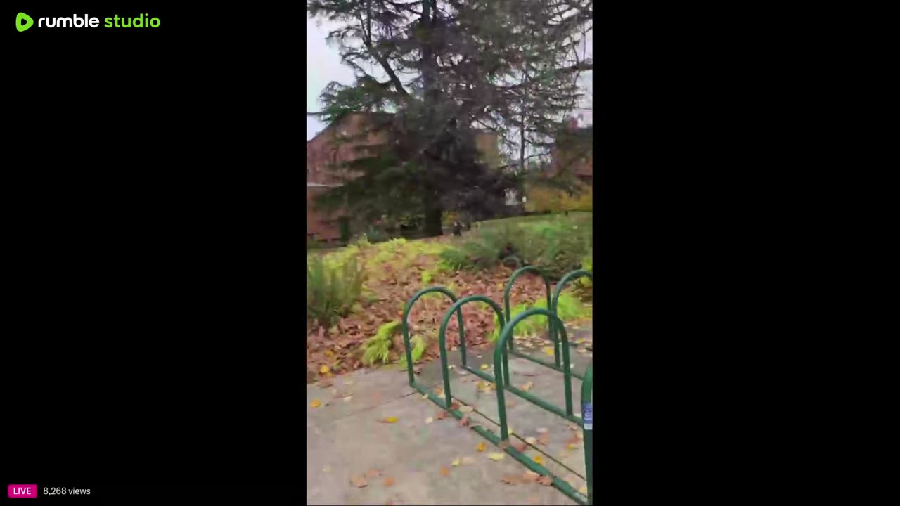 Tommy boy goes to college