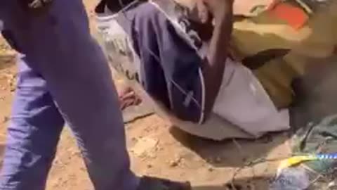 Taking a Cure 🐒🐍 [Africa]