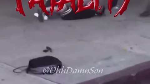 Dan Rob Tackles ICE Protester - Remix by AI Elite Squad