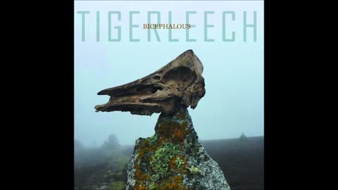 TIGERLEECH - Bicephalous
