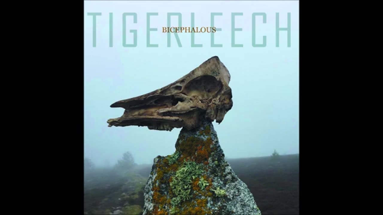TIGERLEECH - Bicephalous