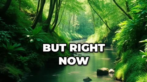 God’s X-Ray: Seeing the True Condition of Your Heart | The Cure for a Dying Soul