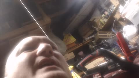 Apocalypse Chronicles