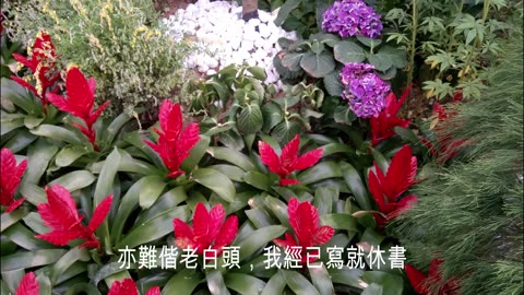林沖之柳亭餞別 羅娥珍 平子喉獨唱