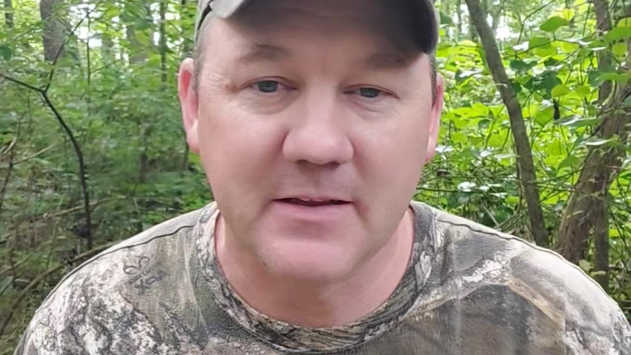 Happy Sunday, June 29th, 2025