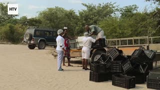 SkyLens Planet: Visual Adventures in the Clouds