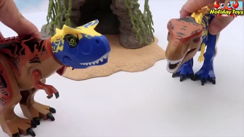 Old Spiders Make Nests in Coconut Leaves