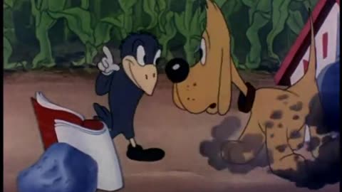 Woody Woodpecker and Friends - 1945x05 - Crow Crazy