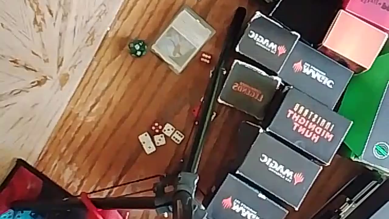 Magic the gathering commander night part 2